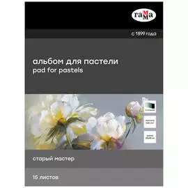 Альбом-склейка для пастели Гамма "Старый Мастер" 30х40 см 15 л 160 г, 5 цветов, холодные тона