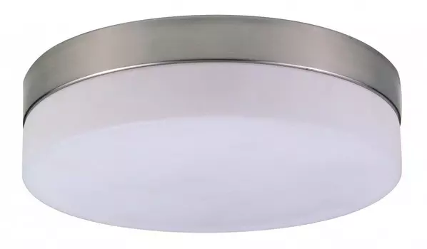 Потолочный светильник Globo Opal 48402