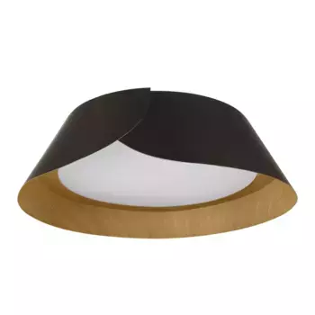 Потолочный светильник Loft IT Lane 10370 Black