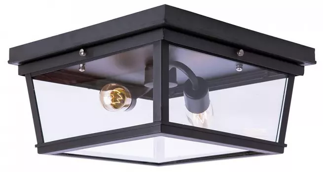 Потолочный светильник Loft IT Modern Filament Loft3110-2C