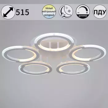 Потолочная светодиодная люстра Reluce 09820-3.3-05 WH