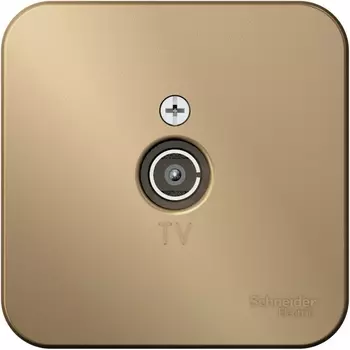 ТВ-розетка оконечная (титан) Systeme Electric Blanca BLNTA000014