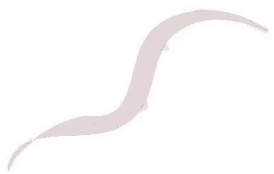 Суперстойкая жидкая подводка для глаз Liquid Dipliner (DP04, 04, White Flare, белый, 1 шт)