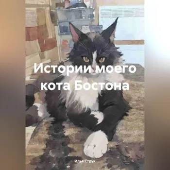 Истории моего кота Бостона
