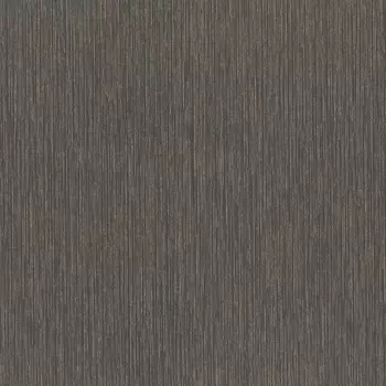 Обои Rasch Metal Spirit 1.06x10.05