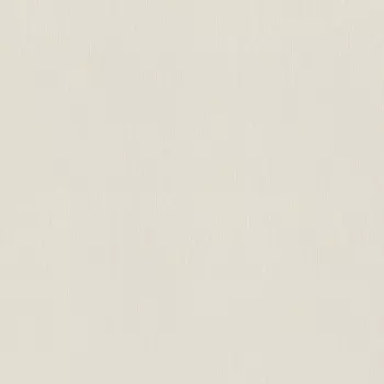 Обои Rasch Wall Textures Xl III 1.06x10.05
