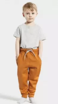 Брюки детские DIDRIKSONS CORIN KID'S PANTS, оранжевый, 503839 (Размер: 90 )