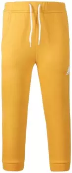 Брюки детские Didriksons CORIN KIDS PANTS, желтый цитрус, 503674