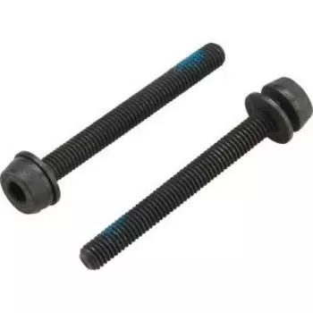 Болт для калипера Campagnolo, 2x44 mm screws x 35-39 mm R mount thickness, AC18-DBSC44