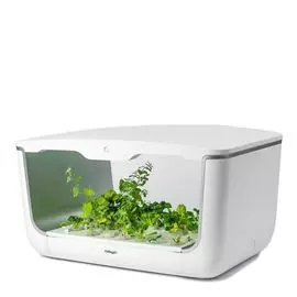 Ферма садовая Vegebox домашняя h-box