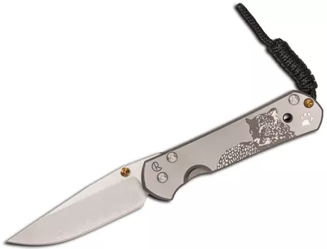 Нож складной Chris Reeve Large Sebenza 21, сталь CPM S35VN, рукоять титан с рисунком Leopard