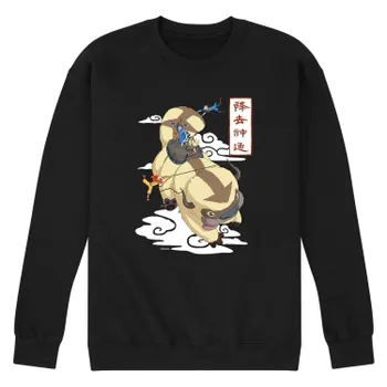 Мужская толстовка Avatar Appa Flying Licensed Character