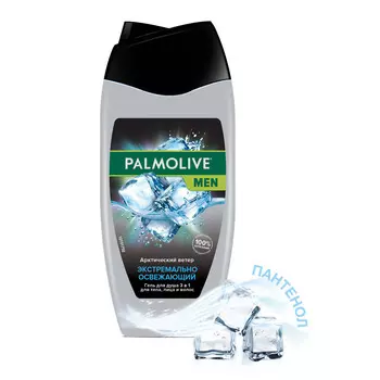 Гель д/душа мужской Palmolive 2в1 Арктический ветер 250мл