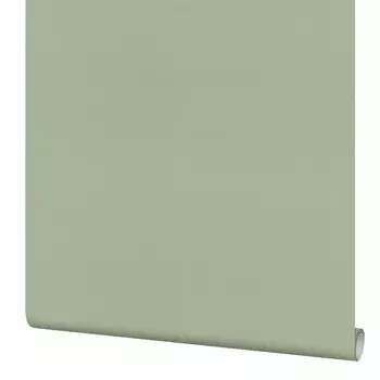 Обои компакт-винил на флизелиновой основе Palitra Simple Nutela SP72029-77 (1,06х10,05 м)