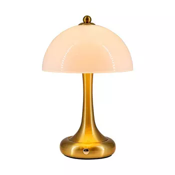 Настольная лампа L'Arte Luce Luxury Tecazo L64931.70