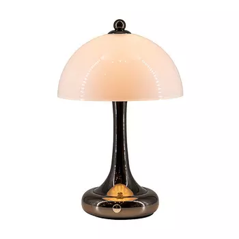 Настольная лампа L'Arte Luce Luxury Tecazo L64931.09