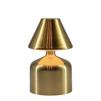 Настольная лампа L'Arte Luce Luxury Platino L67631.70