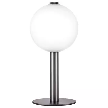 Настольная лампа Lightstar Colore 805916