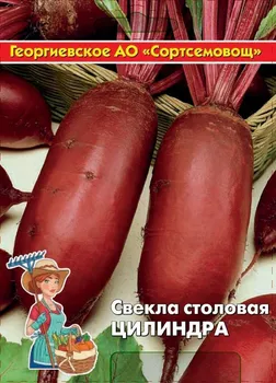 Свекла Цилиндра 5 гр цв.п (Сортсемовощ)