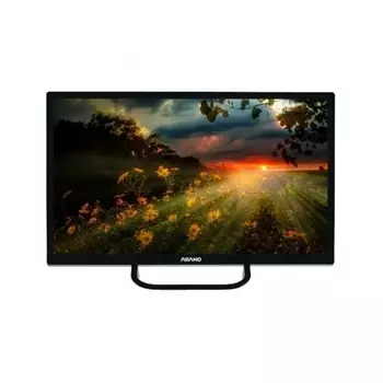 Телевизор ASANO LCD 24" 24LH1110T