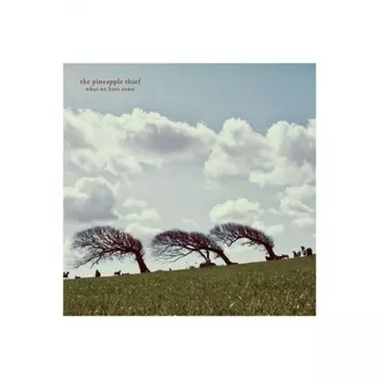 The Pineapple Thief - What We Have Sown (0802644800813) виниловая пластинка