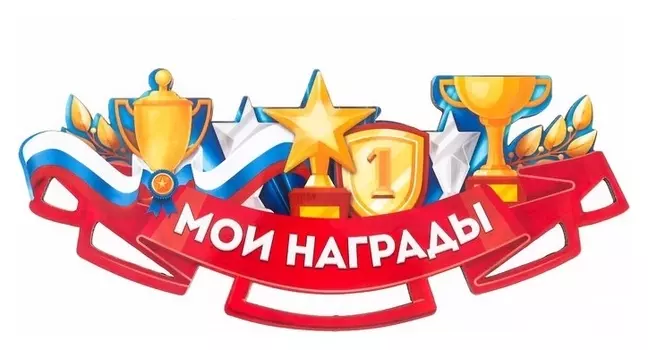 Медальница «Мои награды» 26.3 х 11.3 см