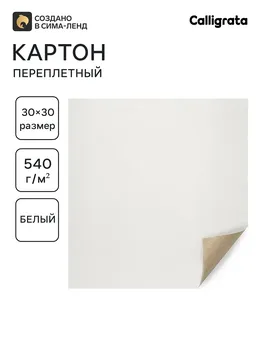 Картон переплетный 0.9 мм, 30 х 30, 50 листов, 540 г/м, белый