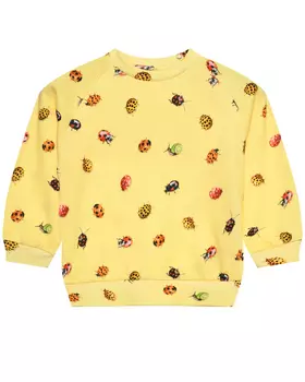 Свитшот Disc Coccinella Molo