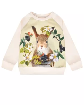 Свитшот с принтом "белочка" Elsa Kind Squirrel Molo детский
