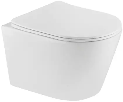 Унитаз подвесной TEKA Nexos 117320001 rimless, с микролифтом