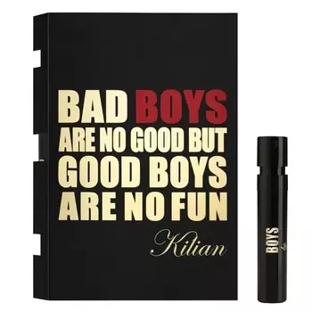 Bad Boys Are No Good But Good Boys Are No Fun