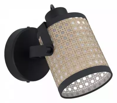 Спот Eglo ПРОМО Ruscomb 43493