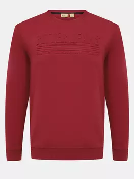 Свитшоты Ritter Jeans