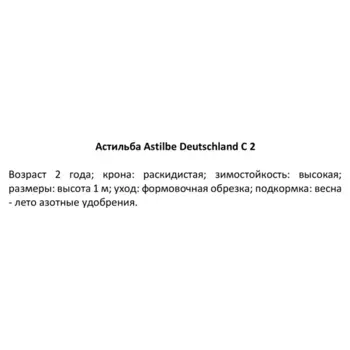 Астильба Дойчланд 15 h40 см