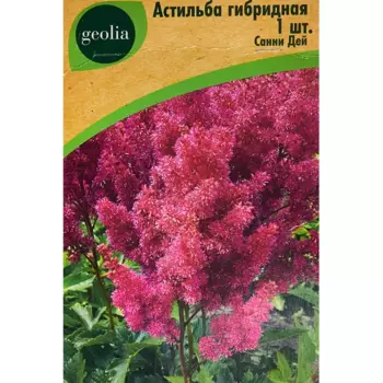 Астильба Geolia гибридная Санни Дей