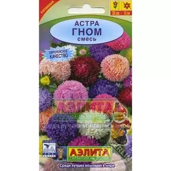 Астра «Гном» смесь окрасок