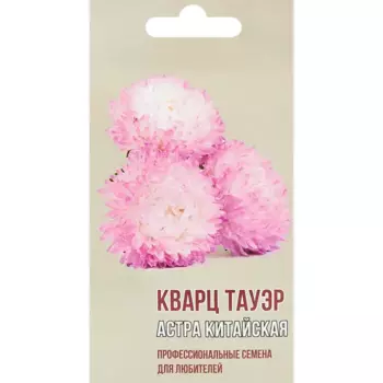 Астра китайская Кварц тауэр