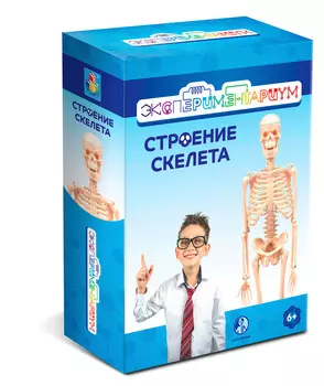 Набор Строение скелета из серии Экспериментариум