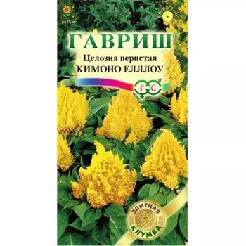 Целозия перистая Кимоно Еллоу