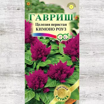 Целозия перистая Кимоно Роуз Гавриш