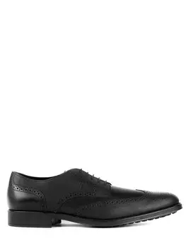 Дерби кожаные TOD`S