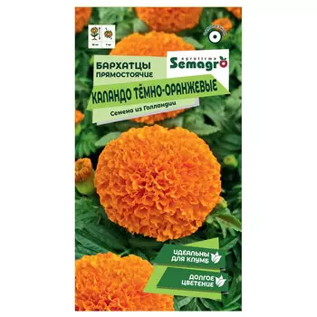Семена Semagro бархатца каландо темно-оранжевые
