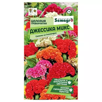 Семена Semagro целозии гребенчатой джессика микс