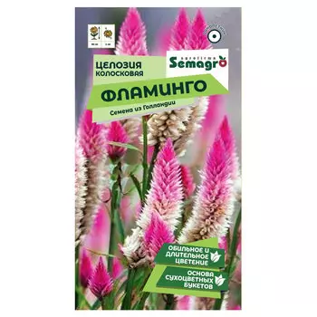 Семена Semagro целозии колосистой фламинго