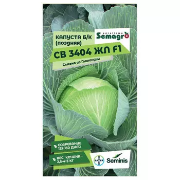 Семена Seminis капуста б/к поздняя св 3404 жл f1