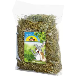 Сено для грызунов JR FARM луговое с добавлением мяты 500 г