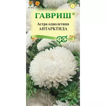 Семена Гавриш Астра Антарктида, однолетняя (пионовидная белая) 0,3 г