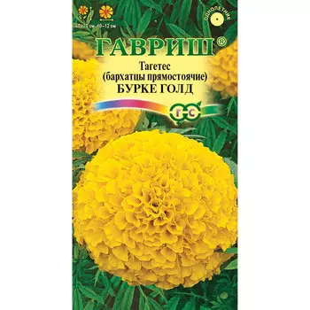 Семена Гавриш Бархатцы пр. Бурке Голд (Тагетес) 0,3 г DH