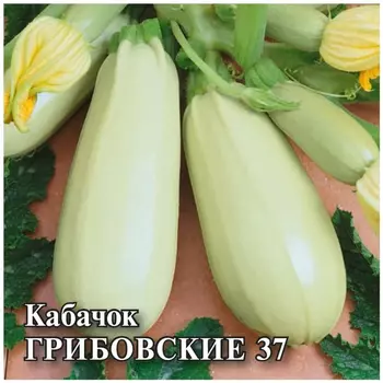 Семена Гавриш Кабачок Грибовские 37 25,0 г