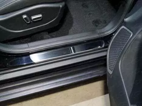 Накладки на пороги TCC GEELEMGX718-02 Geely Emgrand 2018-